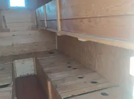 Зображення для оголошення Бджолопавільйон на 30 бджолосімей двох очний