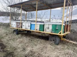 Зображення для оголошення Пасіка на колесах, Бджолопавільйон.