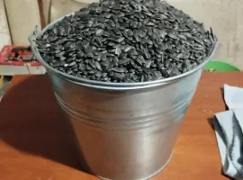 Зображення для оголошення Соняшник кондитерський