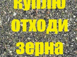 Зображення для оголошення Куплю зерно некондицію отходи зерна соняшника соі