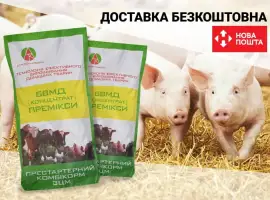 Зображення для оголошення БМВД для свиней от производителя