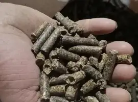 Зображення для оголошення Жом сухий гранульований буряковий 20 кг