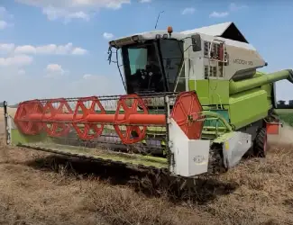 Зображення для оголошення Ріпаковий стіл
