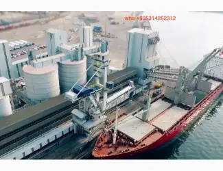 Зображення для оголошення Зерновой перегружатель стамбул
