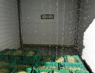 Зображення для оголошення Гідрокулер для охолодження спаржі