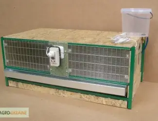 Зображення для оголошення Брудер для цыплят