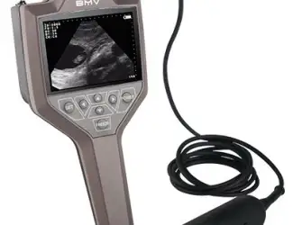 Зображення для оголошення УЗИ сканер для свиноводства FarmScan M30