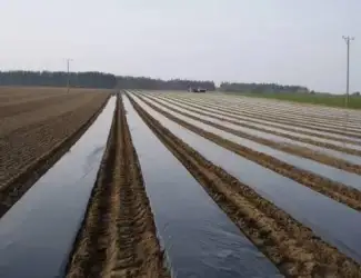 Зображення для оголошення Плівка мульчуюча вторинна/первинна Vatan Plastik
