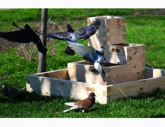 Зображення для оголошення Высокие грядки Organic Box