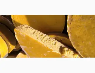 Зображення для оголошення Куплю Віск пасічний різного кольору