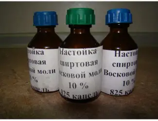 Зображення для оголошення Настойка восковой моли