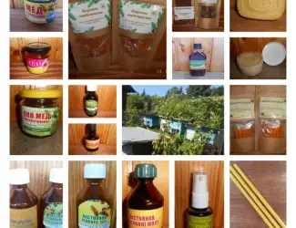Зображення для оголошення Ліки на основі продуктів бджільництва