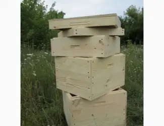 Зображення для оголошення Вулик