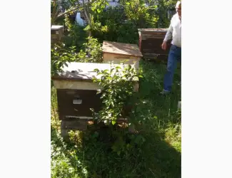 Зображення для оголошення Продам б/у вулики-лежаки