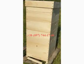 Зображення для оголошення Улья