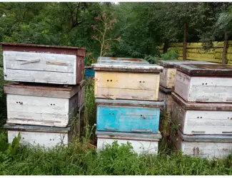 Зображення для оголошення Продам вулики лежаки бу