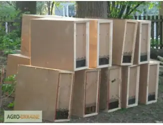 Зображення для оголошення Ящики для перевозки пчел