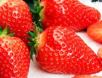 Зображення для оголошення Саженцы клубники альба соната азия