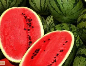 Зображення для оголошення Продам семена Арбуз Антем F1 (Hollar Seeds