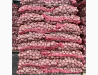Зображення для оголошення Продам Насінневу картоплю Гуртом від 500 кг / Імпорт