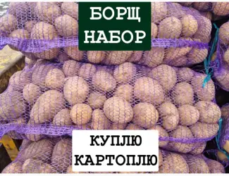 Зображення для оголошення Куплю Картоплю ОПТ Україна