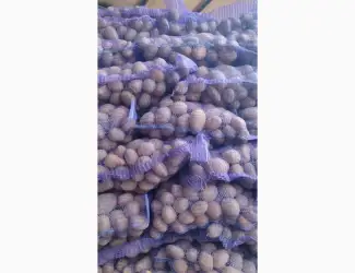 Зображення для оголошення Продам картофель отличного качества сорт