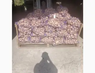 Зображення для оголошення Продам картофель