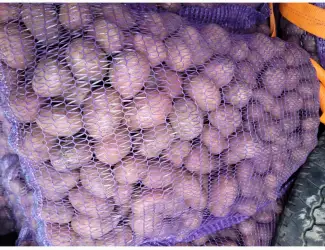 Зображення для оголошення Продам картоплю велику насіневу.рівєра пікасо арізона балароса коломбо