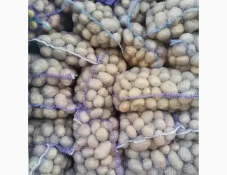 Зображення для оголошення Продам картоплю з піску від населення велика і насінева