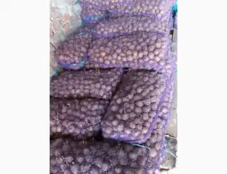 Зображення для оголошення Продам картоплю Рів'єра другої репродукції