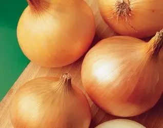 Зображення для оголошення Продам семена Лук Халцедон