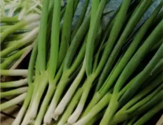 Зображення для оголошення Продам семена Лук Параде (на перо)