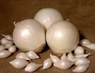Зображення для оголошення Лук-севок «gledstone» глэдстоун "