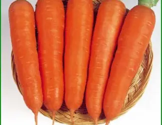 Зображення для оголошення Продам семена Морковь Ням ням