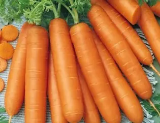 Зображення для оголошення Продам семена моркови Берликум