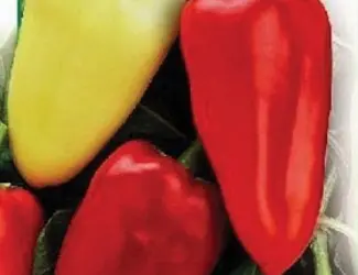 Зображення для оголошення Семена перца из частной коллекции
