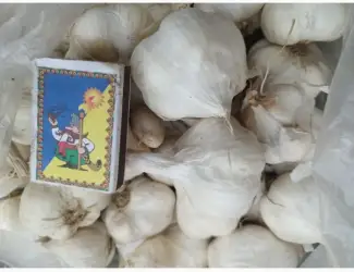 Зображення для оголошення Продам часник озимий великий і на посадку 1 репродукції