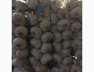 Зображення для оголошення Продам часник