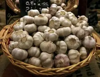 Зображення для оголошення Куплю чеснок яровой