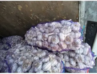 Зображення для оголошення Закупаю чеснок. Приезжаем сами 0