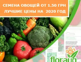 Зображення для оголошення Семена овощей от 1
