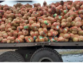 Зображення для оголошення Продам белокачанную капусту