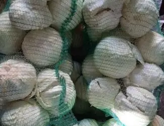Зображення для оголошення Продам оптом гарну товарну капусту