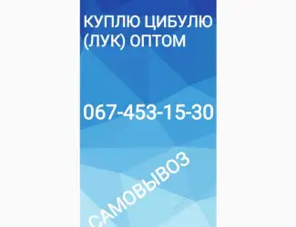 Зображення для оголошення Куплю цибулю оптом