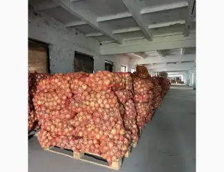Зображення для оголошення Продам цибулю