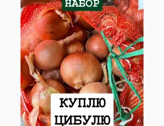 Зображення для оголошення Куплю цибулю ОПТ Україна Борщ Набор