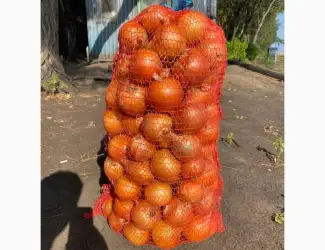 Зображення для оголошення Продам лук репчатый