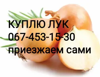 Зображення для оголошення Куплю репчатый лук