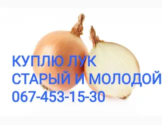 Зображення для оголошення Куплю цибулю Об'эм