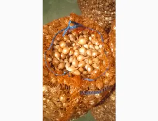 Зображення для оголошення Продам лук-севок